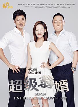 超级翁婿 第34集