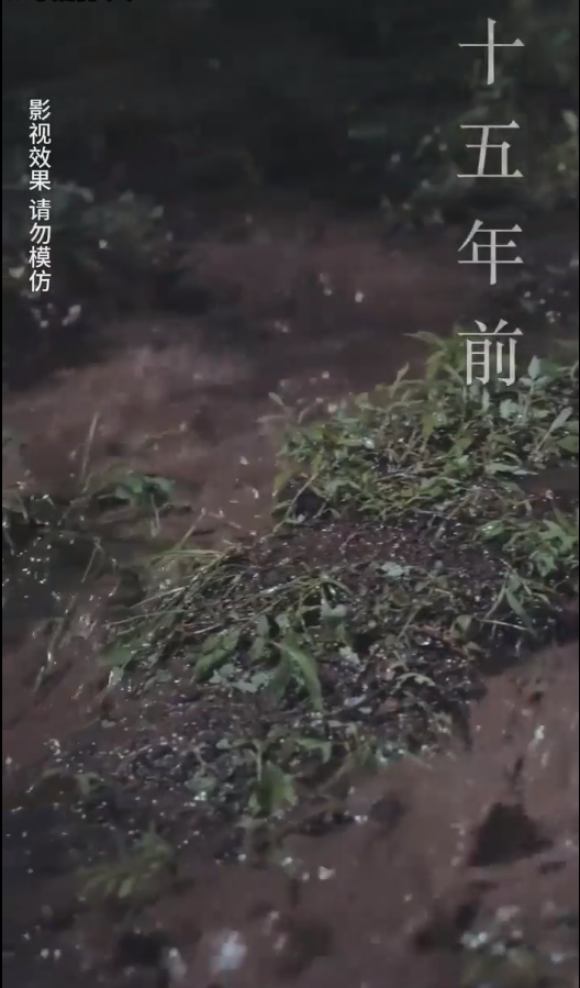 云深见朝阳 第55集