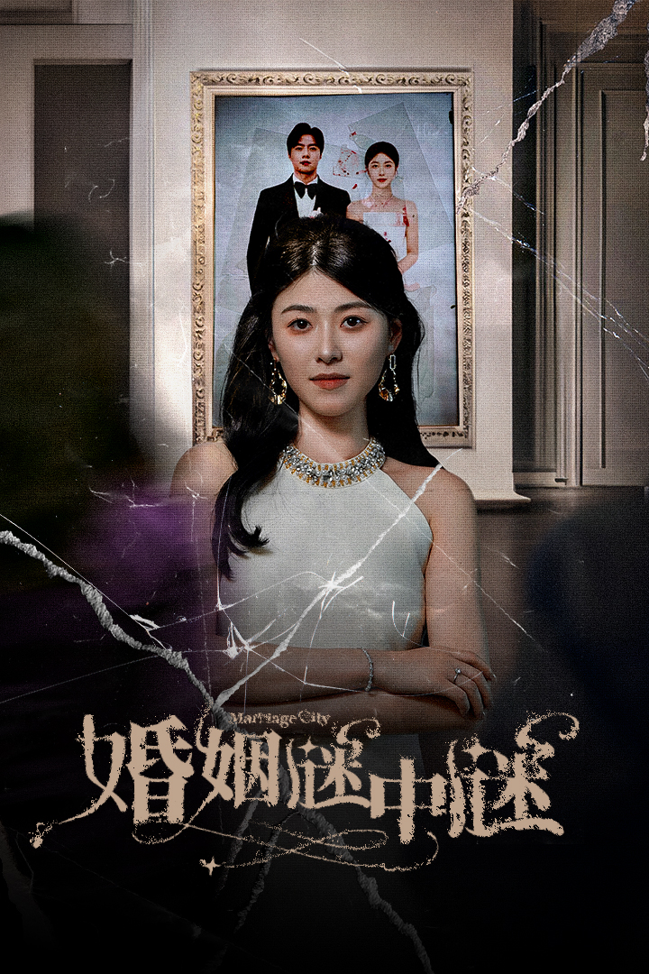 婚姻谜中谜 第08集