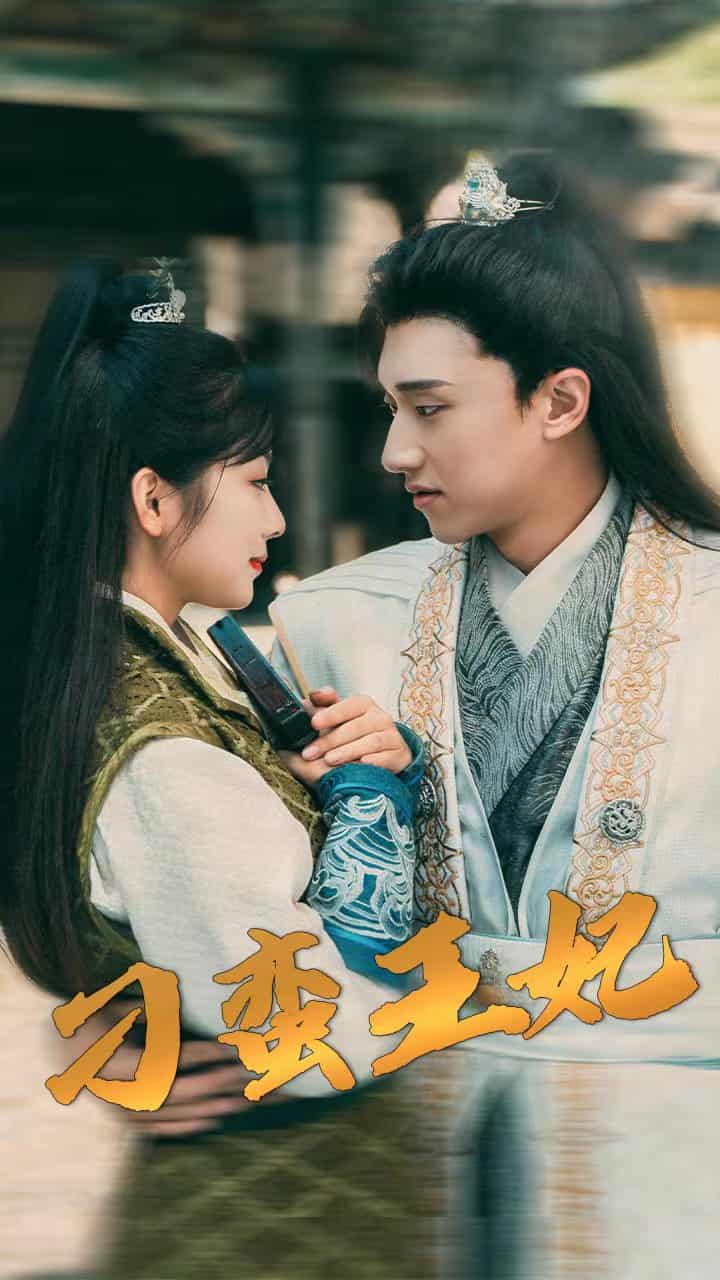 刁蛮王妃 第24集