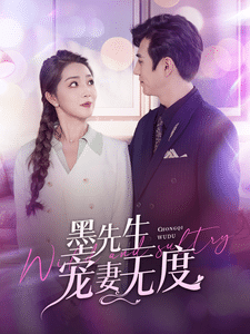墨先生宠妻无度 第20集