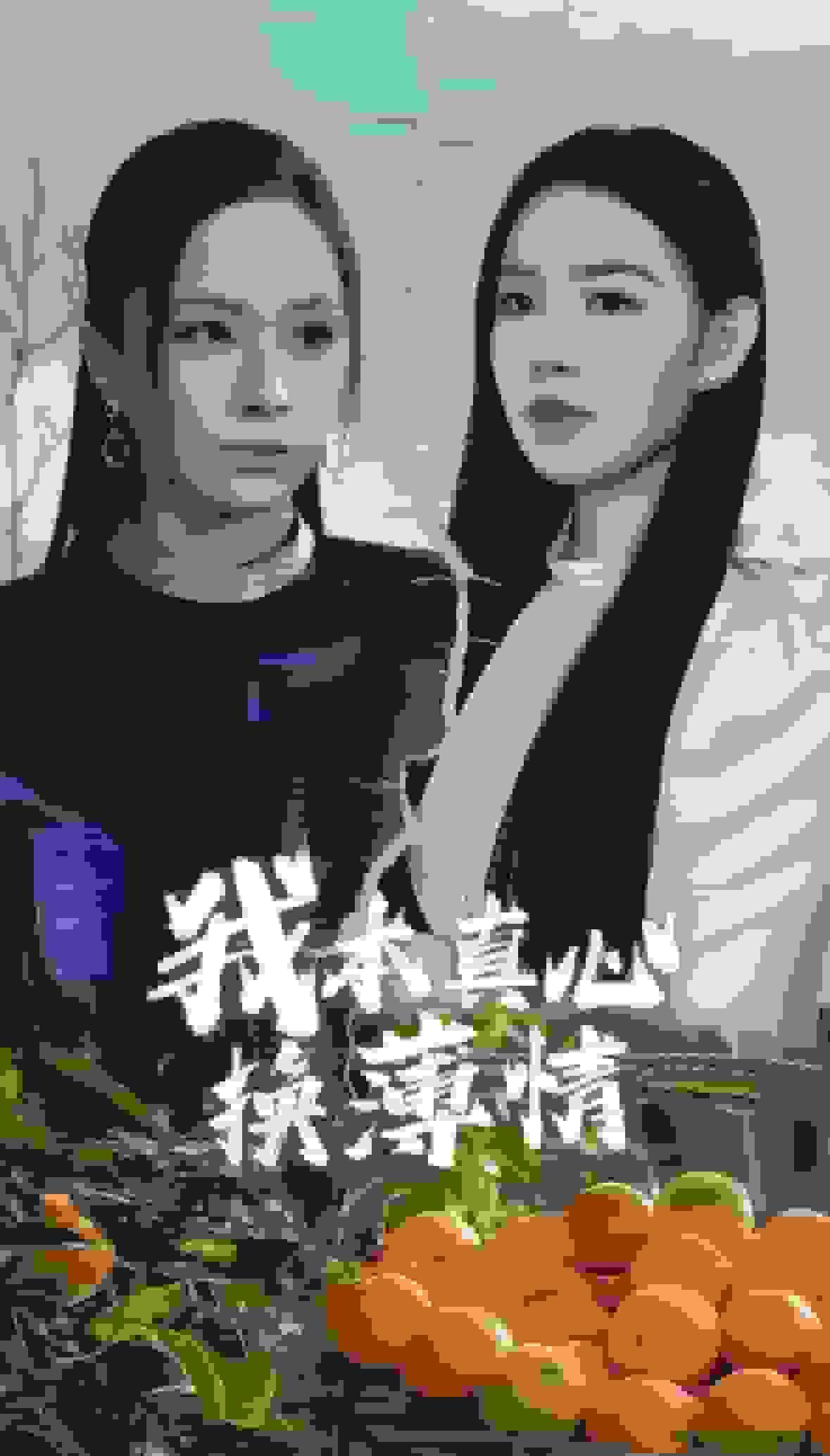 我本真心换薄情 第30集