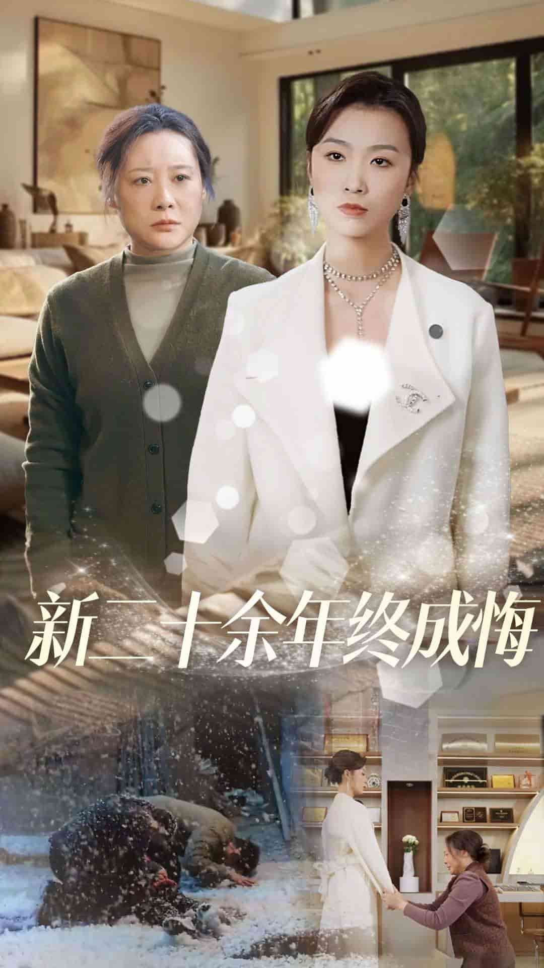 新二十余年终成悔 第12集