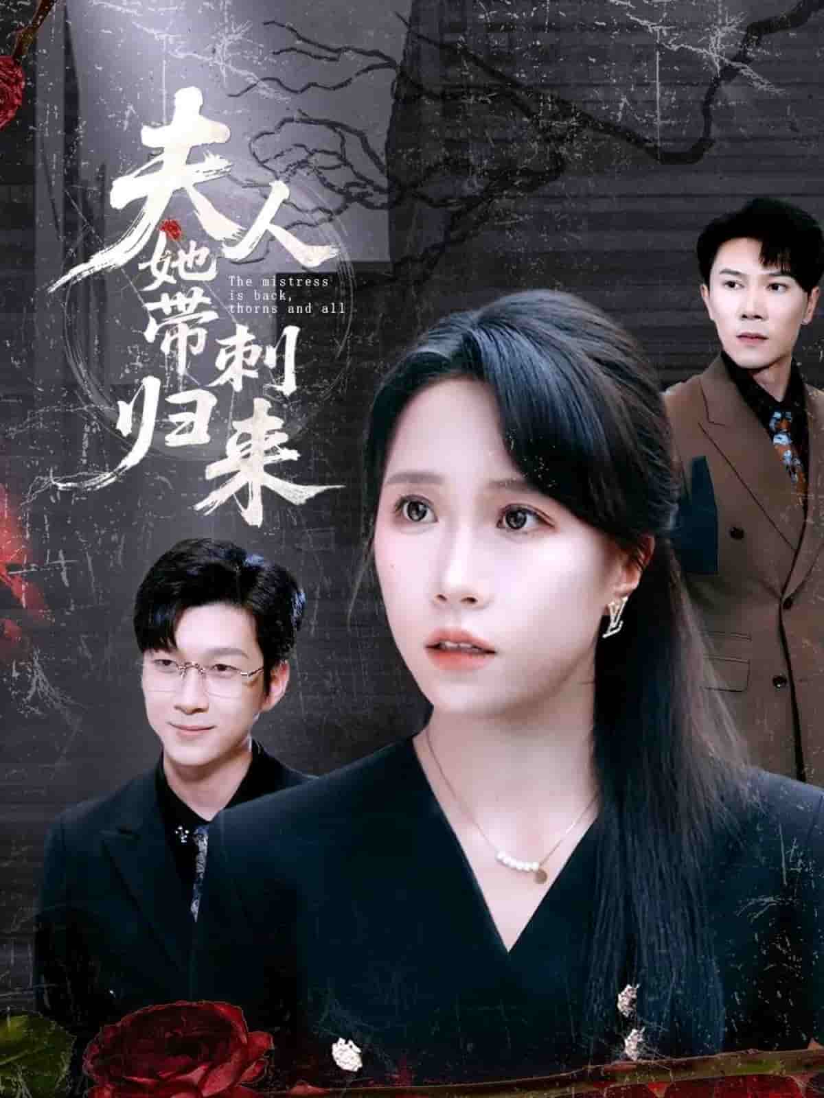 夫人她带刺归来 第41集