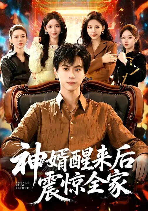 神婿醒来后震惊全家 第40集