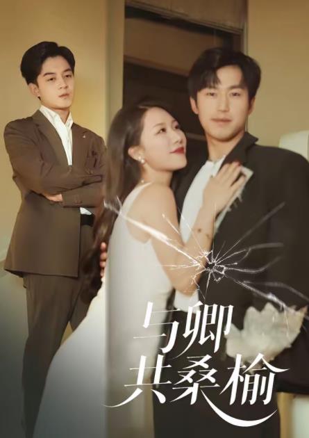 与卿共桑榆(全集)